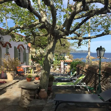 Astria Hotell Le Lavandou